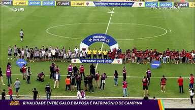 o Galo versus a Raposa na Paraíba